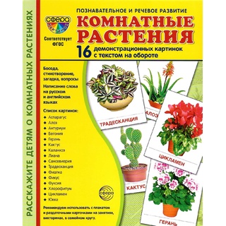 Демонстрационные картинки СУПЕР. Комнатные растения (16 шт.)