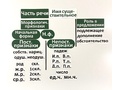 Набор магнитных карточек "Имя существительное (морфологический разбор)"