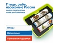 Природные богатства России с РобоМышью (с системой хранения)