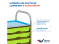 Природные богатства России с РобоМышью с системой хранения (4 робота)